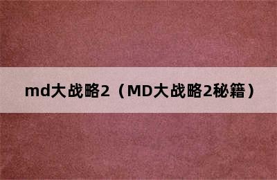 md大战略2（MD大战略2秘籍）