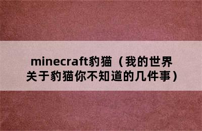 minecraft豹猫（我的世界关于豹猫你不知道的几件事）