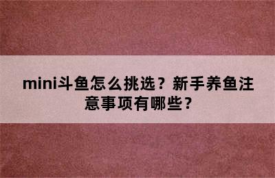 mini斗鱼怎么挑选？新手养鱼注意事项有哪些？