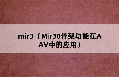 mir3（Mir30骨架功能在AAV中的应用）