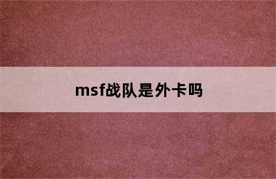 msf战队是外卡吗