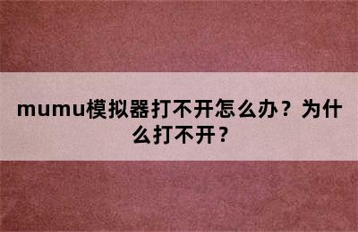 mumu模拟器打不开怎么办？为什么打不开？