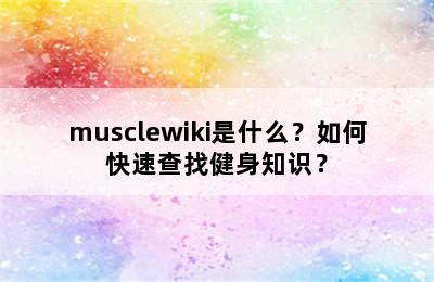 musclewiki是什么？如何快速查找健身知识？