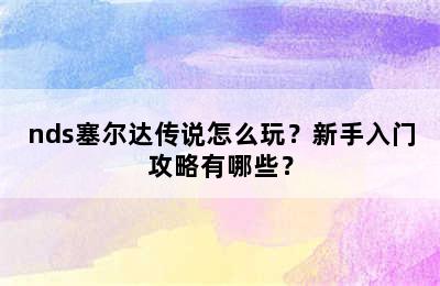 nds塞尔达传说怎么玩？新手入门攻略有哪些？