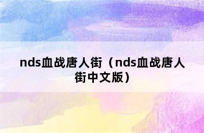 nds血战唐人街（nds血战唐人街中文版）