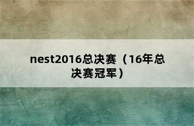 nest2016总决赛（16年总决赛冠军）