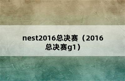 nest2016总决赛（2016总决赛g1）