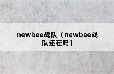 newbee战队（newbee战队还在吗）