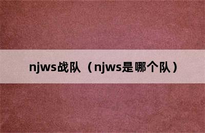 njws战队（njws是哪个队）