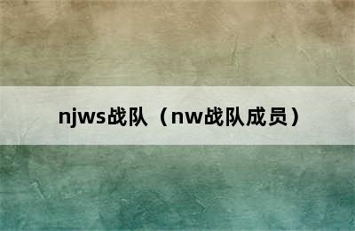 njws战队（nw战队成员）