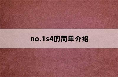 no.1s4的简单介绍