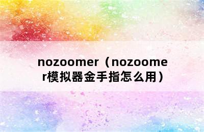 nozoomer（nozoomer模拟器金手指怎么用）