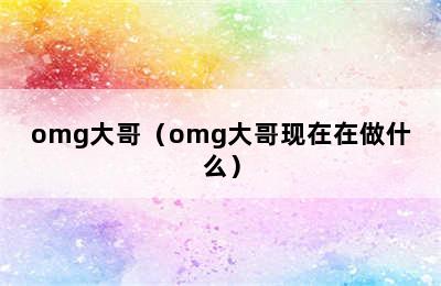 omg大哥（omg大哥现在在做什么）