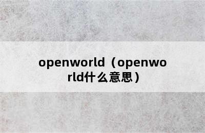 openworld（openworld什么意思）