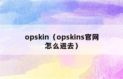 opskin（opskins官网怎么进去）