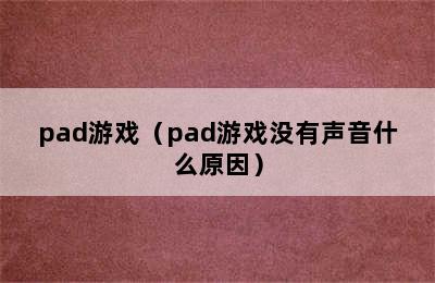 pad游戏（pad游戏没有声音什么原因）