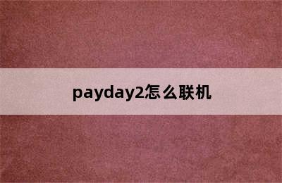 payday2怎么联机