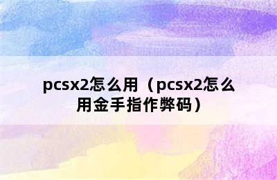 pcsx2怎么用（pcsx2怎么用金手指作弊码）