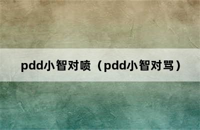 pdd小智对喷（pdd小智对骂）