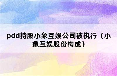 pdd持股小象互娱公司被执行（小象互娱股份构成）