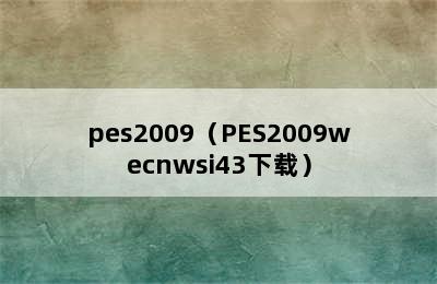 pes2009（PES2009wecnwsi43下载）