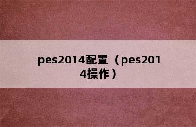 pes2014配置（pes2014操作）