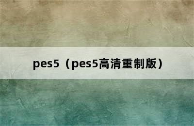 pes5（pes5高清重制版）