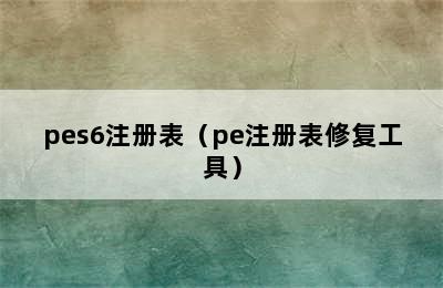 pes6注册表（pe注册表修复工具）