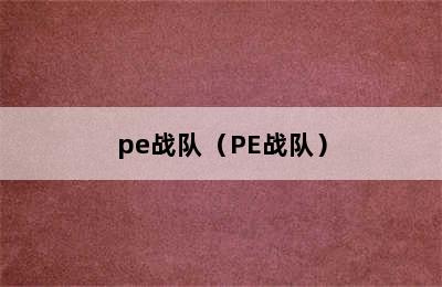 pe战队（PE战队）