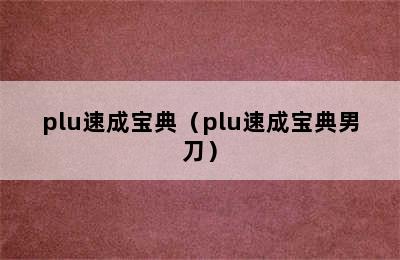 plu速成宝典（plu速成宝典男刀）