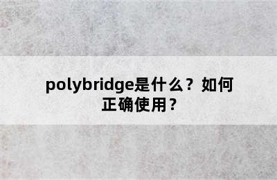 polybridge是什么？如何正确使用？