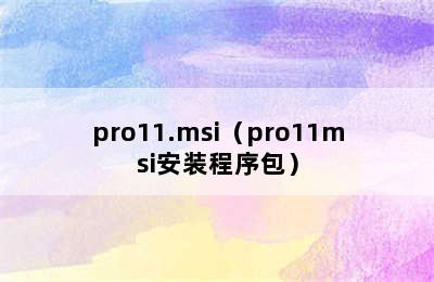 pro11.msi（pro11msi安装程序包）