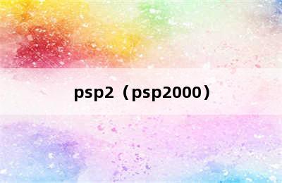 psp2（psp2000）