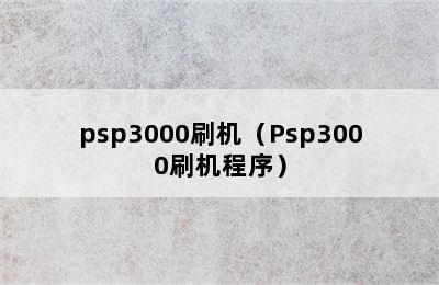 psp3000刷机（Psp3000刷机程序）