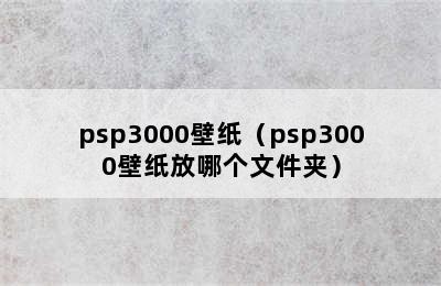 psp3000壁纸（psp3000壁纸放哪个文件夹）