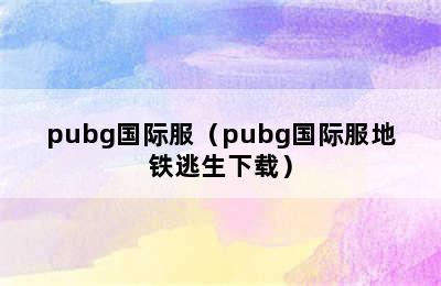 pubg国际服（pubg国际服地铁逃生下载）