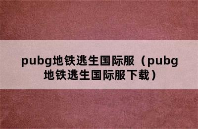 pubg地铁逃生国际服（pubg地铁逃生国际服下载）