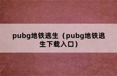 pubg地铁逃生（pubg地铁逃生下载入口）