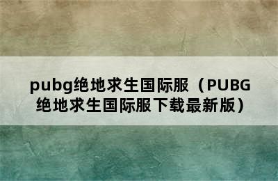 pubg绝地求生国际服（PUBG绝地求生国际服下载最新版）