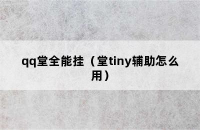 qq堂全能挂（堂tiny辅助怎么用）