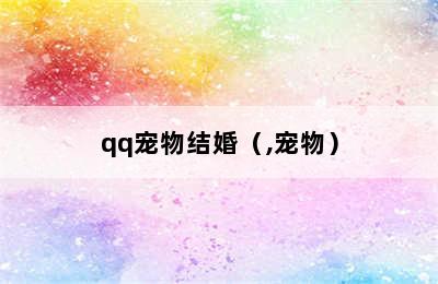 qq宠物结婚（,宠物）