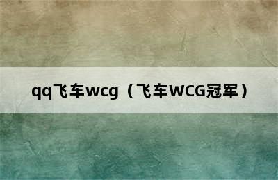 qq飞车wcg（飞车WCG冠军）