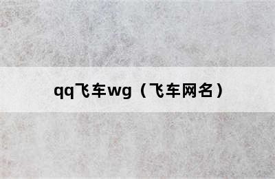 qq飞车wg（飞车网名）