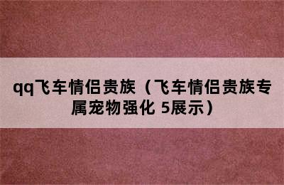 qq飞车情侣贵族（飞车情侣贵族专属宠物强化+5展示）