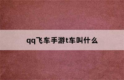 qq飞车手游t车叫什么