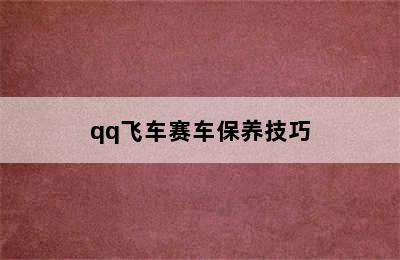 qq飞车赛车保养技巧