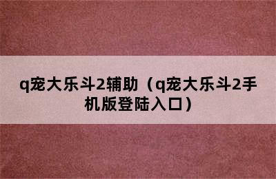 q宠大乐斗2辅助（q宠大乐斗2手机版登陆入口）