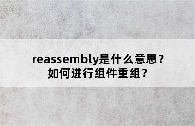 reassembly是什么意思？如何进行组件重组？