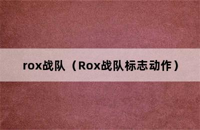 rox战队（Rox战队标志动作）