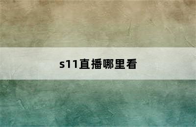 s11直播哪里看